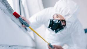 Professional Pest Control in Oak Grove, LA